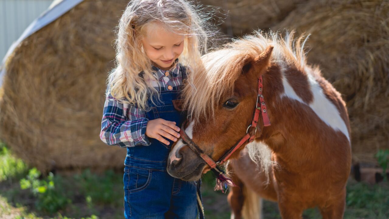 East Cork Family Photographer farm photos R&R Photography